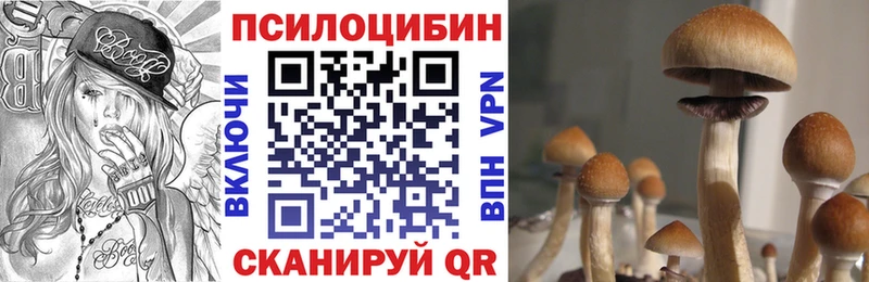 Галлюциногенные грибы GOLDEN TEACHER Рудня