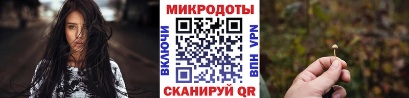 Псилоцибиновые грибы Psilocybine cubensis  Купить  Рудня 